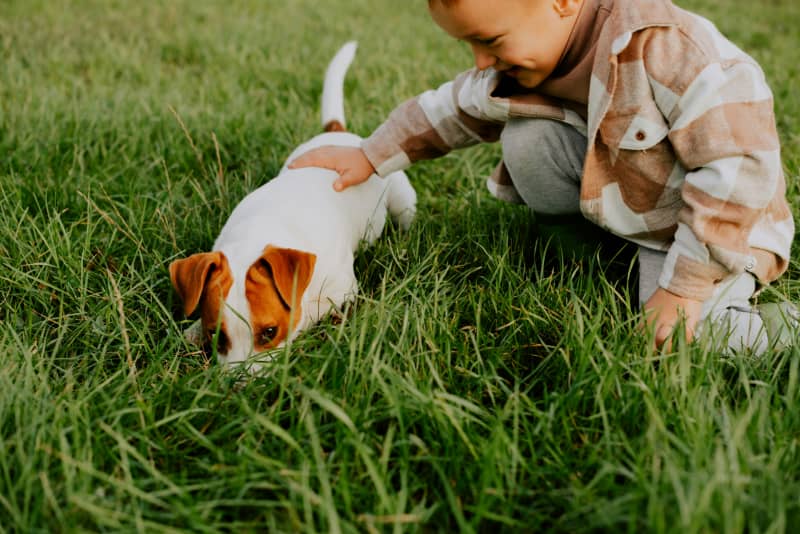 Does spending time with animals lower children’s risk of allergies?