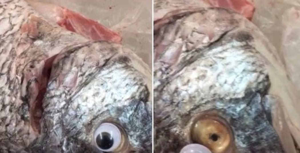 Fish eyes