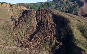 Forestry slash - Failed landing Uawa Forest