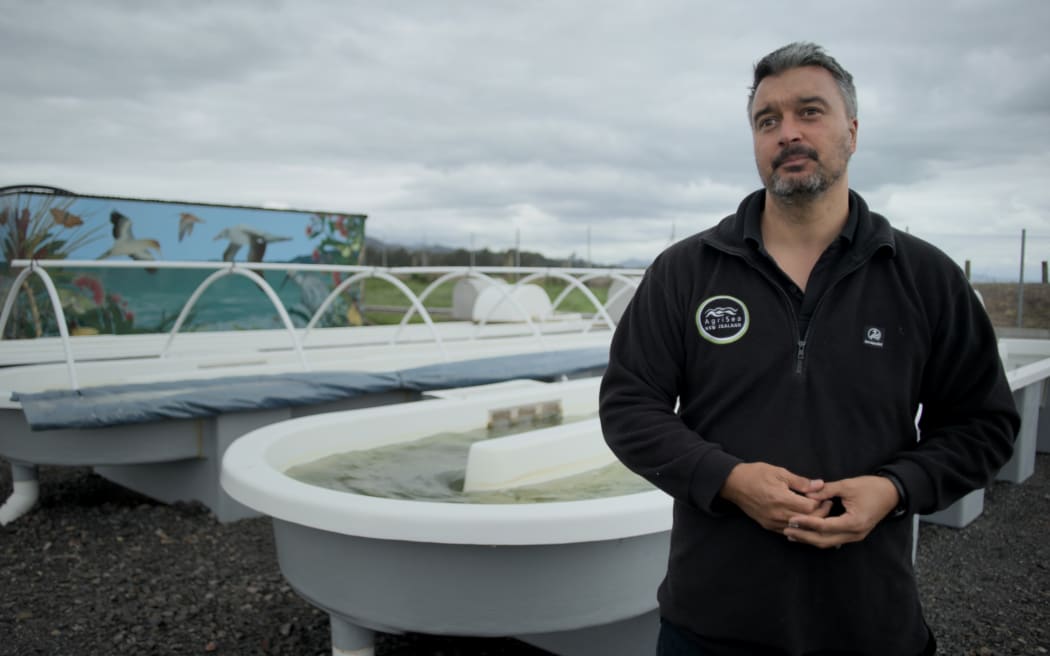 Tane Bradley of Agrisea