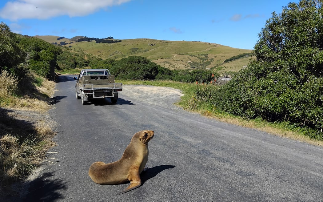 SEAL