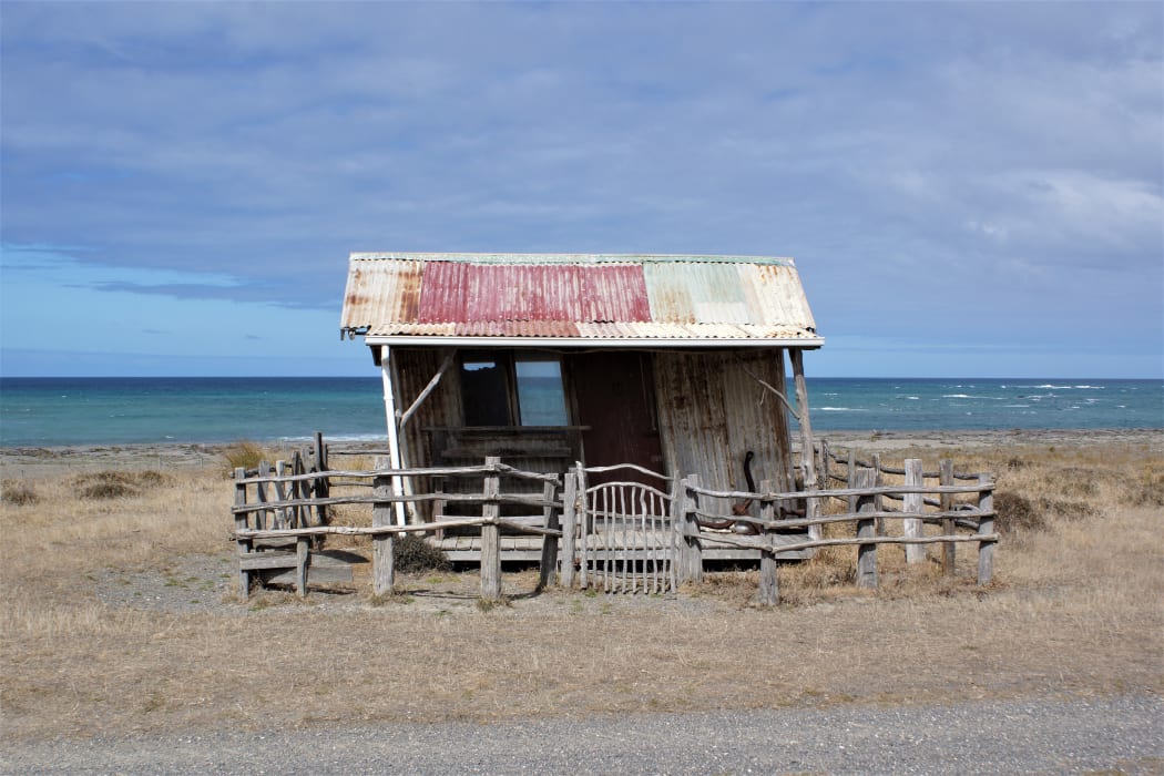 The Crooked Hut at Cape Campbell,  made by historian and hut restorer Bernie Mason. It sits on coastal land farmed by Rob and Sally Peter, who is Bernie’s sister. The manuka hut withstood the 2016 Magnitude 7.8 earthquake