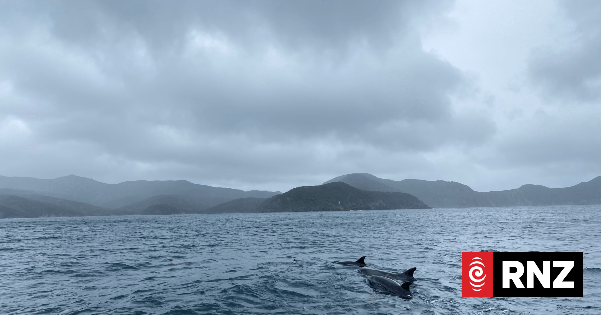 Great Barrier Island ferry loses both life rafts | RNZ News
