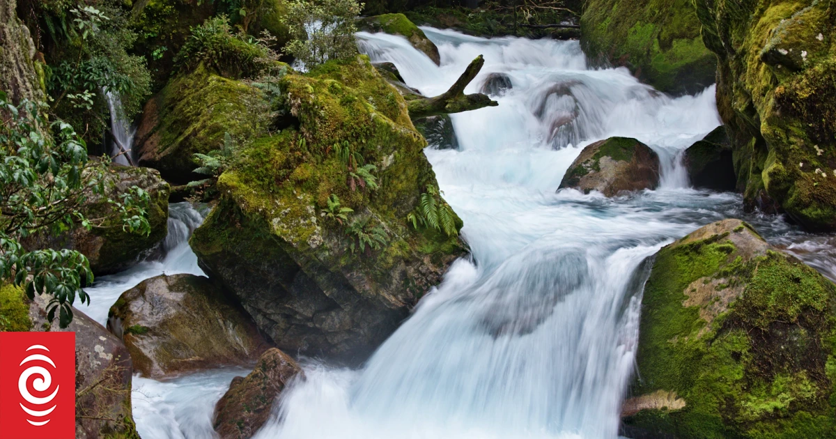 Girl who died in Fiordland's Marian Creek named - Vimarsana News