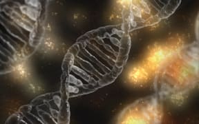 Genes.