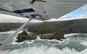Search for missing swimmer at Piha on 28/1/25