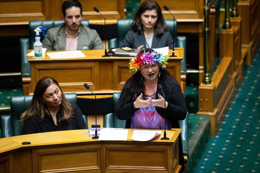 Green MP Elizabeth Kerekere speaks in the debate on Conversion Practices