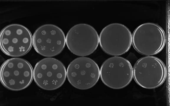 Antibiotic resistance