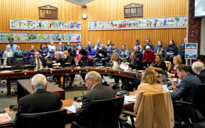 Hastings District Councillors during the Māori wards meeting today.