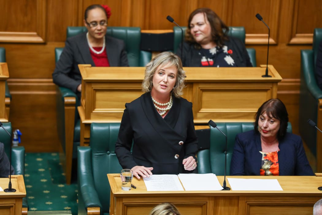 Labour MP Anna Lorck speaks in the debating chamber at Parliament