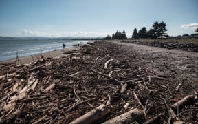 Slash at Gisbourne's Waikanae Beach