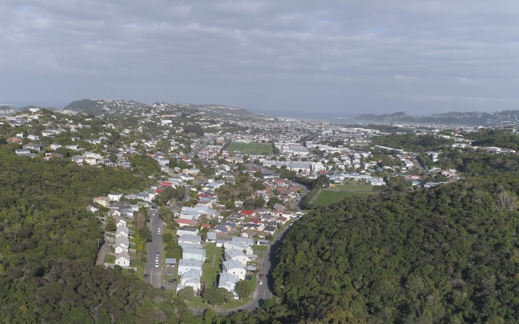 Miramar Peninsula, Wellington, urban landscape-scale predator eradication project