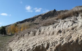 Dry hill country farm in Hawke's Bay