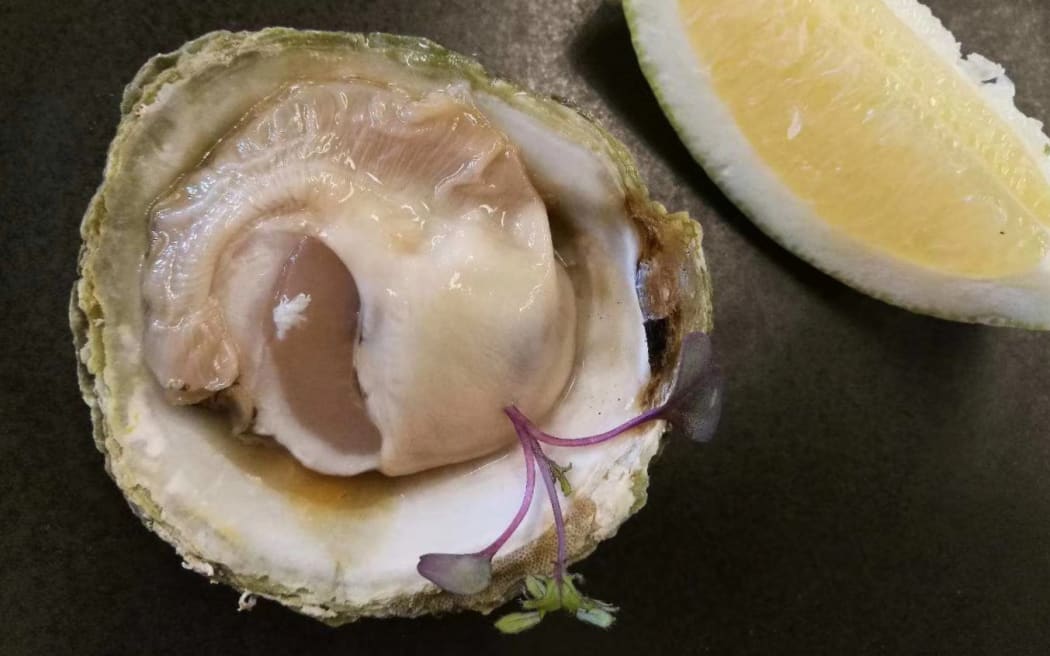 Bluff oyster