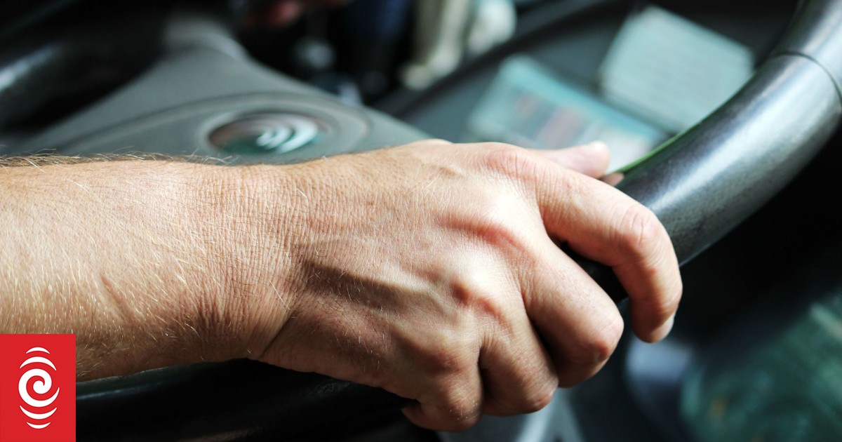 Timaru's bus fleet to be fully electric