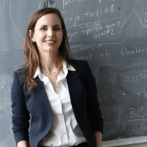 Jessica Whited, Associate Professor and Principal Faculty member of the Harvard Stem Cell Institute, where she runs Whited Labs.