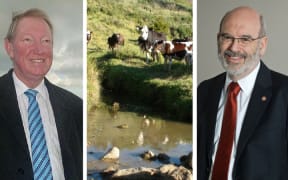 Nick Smith, cows by river, Peter Gluckman