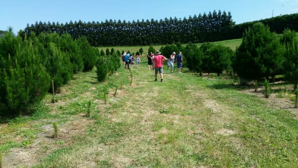 November and December sees Malcolm Hine working every day in the lead up to Christmas.