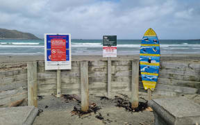 Lyall Bay beach and the rest of Wellington's south coast has been off limits since the Moa Point treatment plant failed on 4 February.