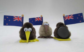 A kiwi toy from Rozcraft in Rotorua.