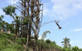 Traditional land diving ritual (Nangol) with vines tied to their feet, origin of modern Bungee Jumping, EDITORIAL