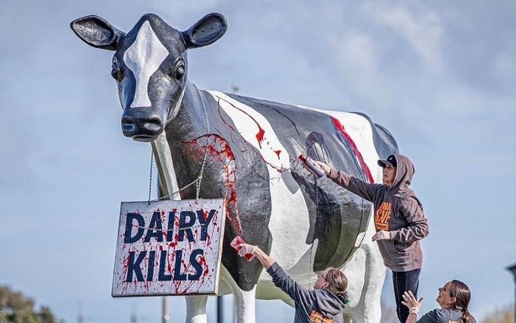 Activists cover the iconic cow statue at Fonterra's Whareroa plant in Taranaki with red paint.