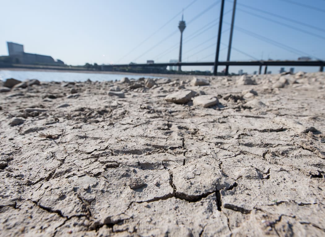 The cracked earth on the dried up banks of the river Rhine in Duesseldorf, Germany, last month.