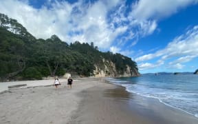 The northern end of Hāhei Beach on the Coromandel Peninsula, where a boy died after falling from a cliff. Photo / Al Williams