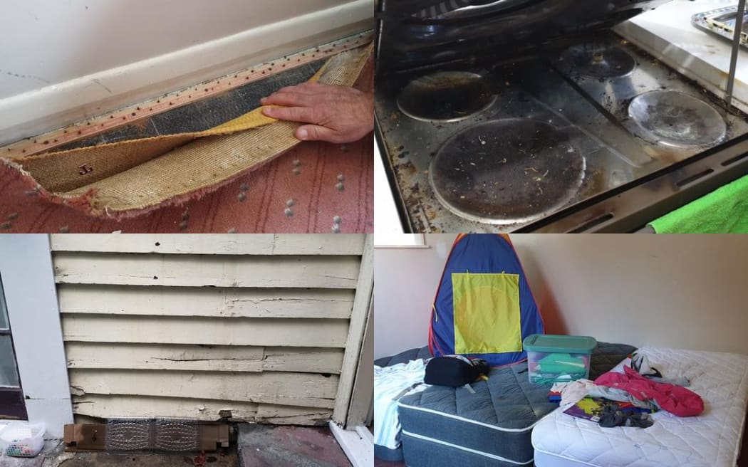 Refugee families say their houses in the Dunedin suburb of North East Valley are cold, dank and making them sick.