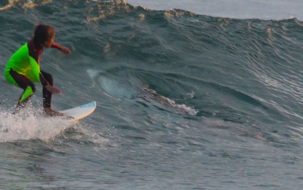 Eden Hasson, 10, was surfing north of Newcastle, Australia, when his father took this picture that showed a shark right next to the child.