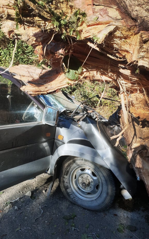 Pamela Coleman's truck after the accident