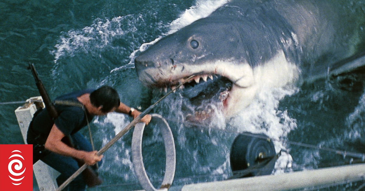 What are the best shark movies of all time? | RNZ