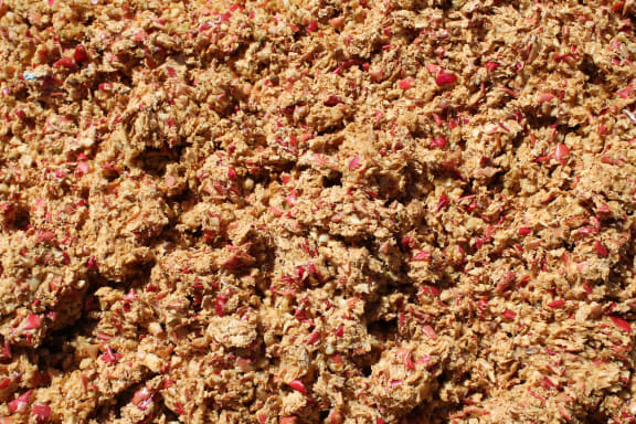 Apple Pulp