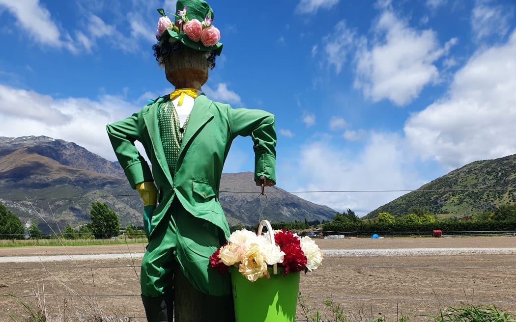 Peonies for sale in Central Otago