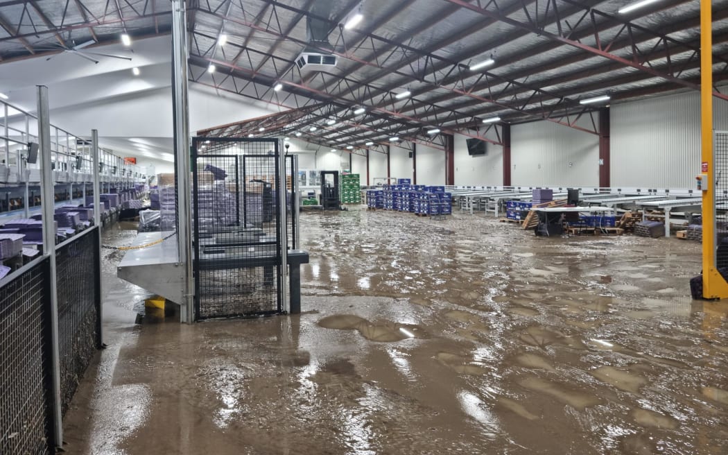 Damage at an apple pack house near Napier