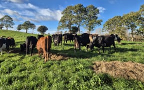 The farm's been in the family for almost 120 years.