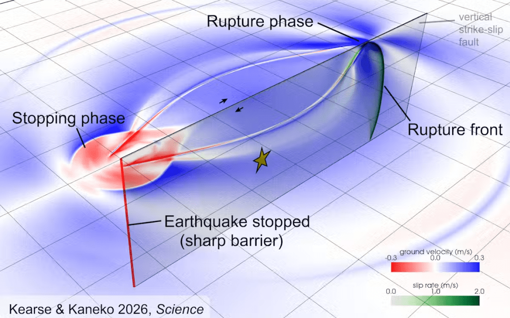 This illustration shows the stopping phase produced by the sudden arrest of a simulated large strike-slip earthquake.