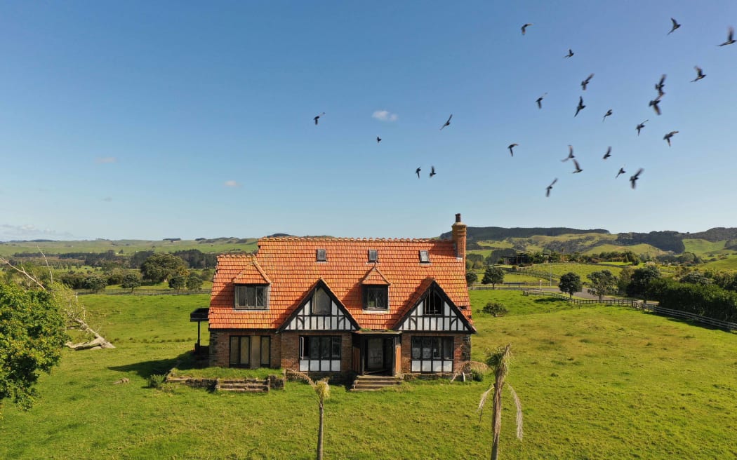 An abandoned mock Tudor-style house sits in a large field surrounded by two palm trees with a flock of pigeons flying overhead.