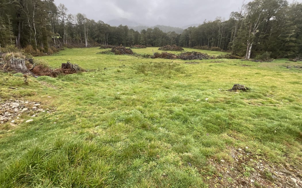 An area where native bush was cleared in the Maruia Valley.