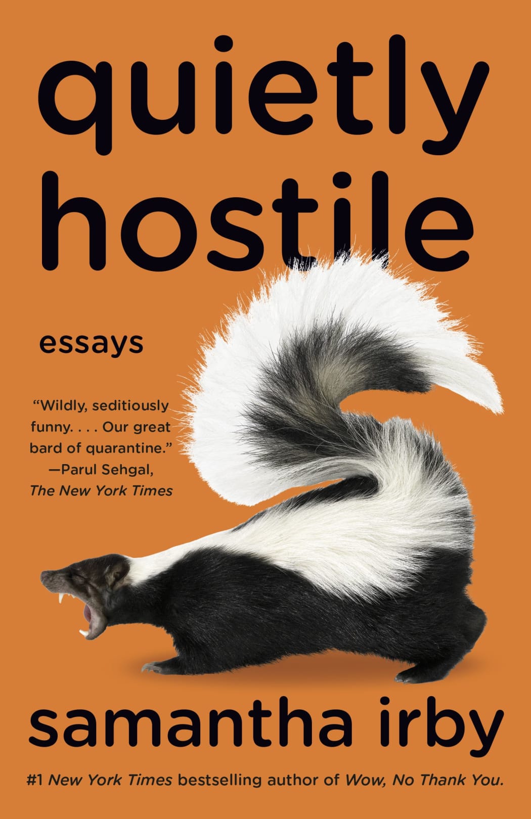 Quietly Hostile: Essays book cover