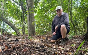 Pukekura Park senior field staffer, Ray Pope near where one of the nikau palms have been ripped out of the ground.