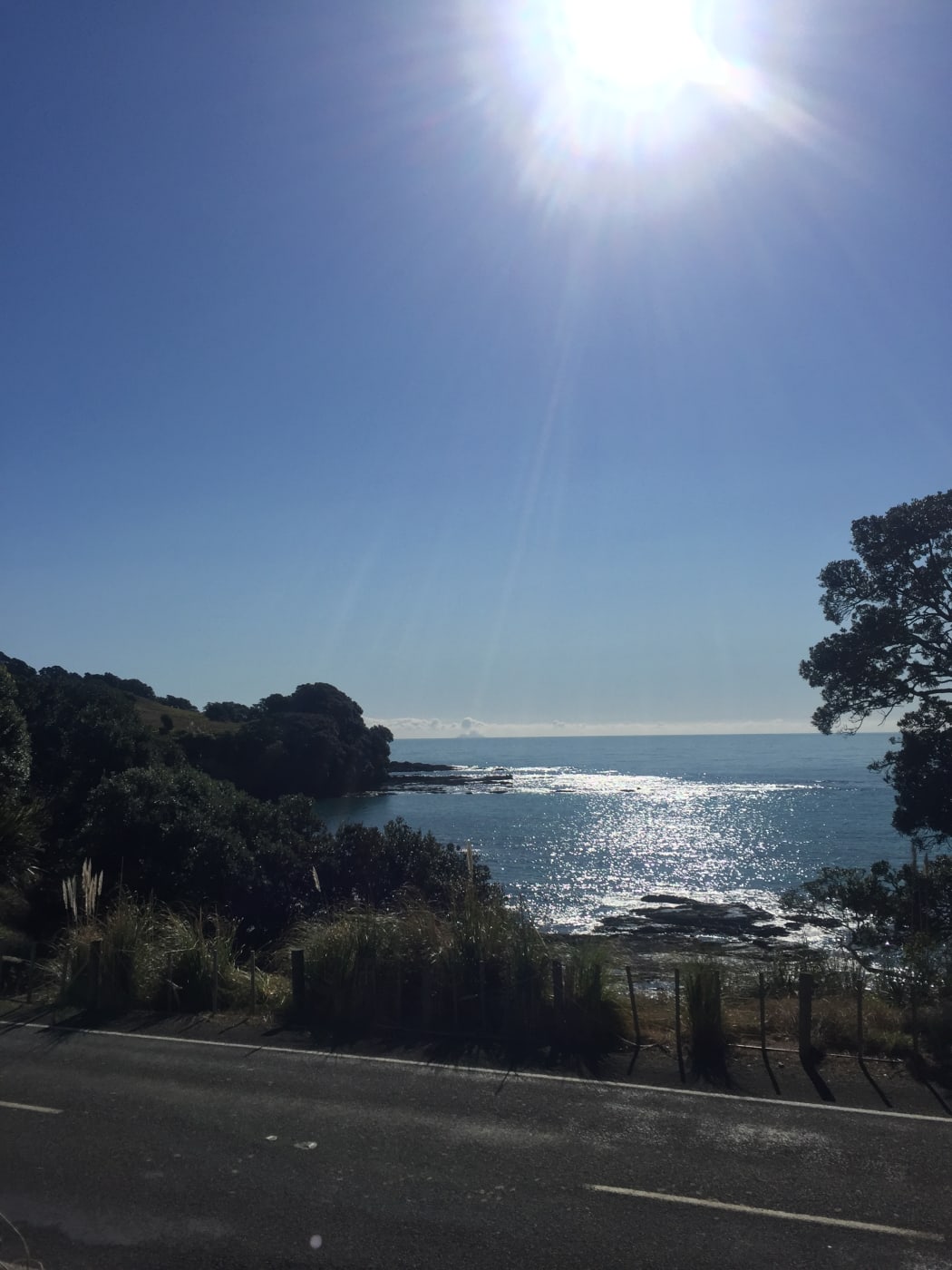 Along 4754 State Highway 35, Bay of Plenty, Omaio