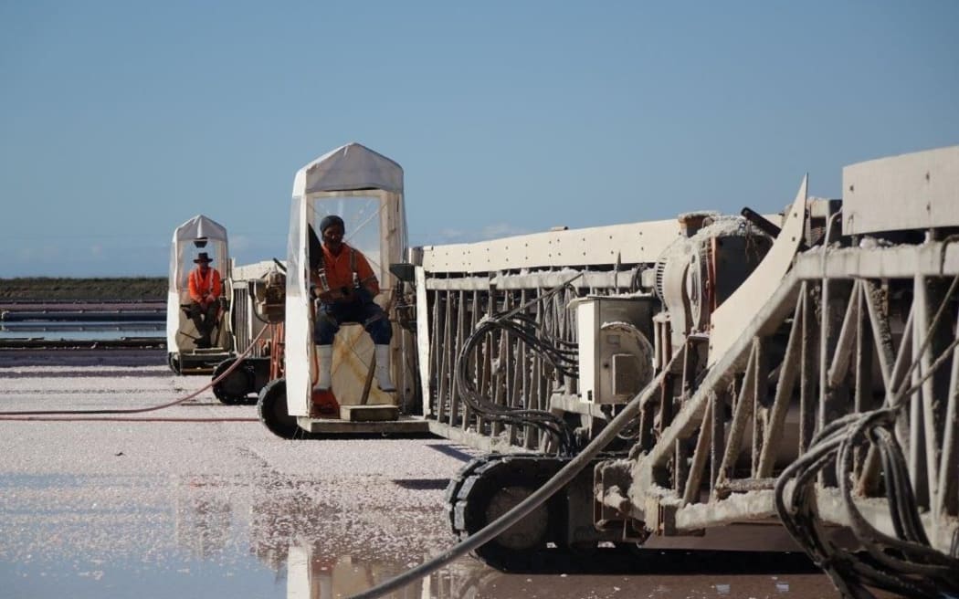 Operators drive salt harvesting machinery on Lake Grassmere.