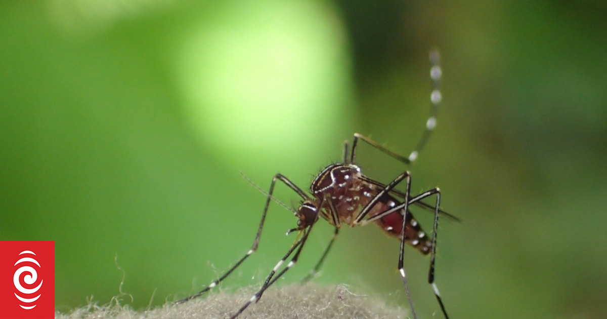 Avoiding the bloodsucking bugs: What works to repel them and stop the ...