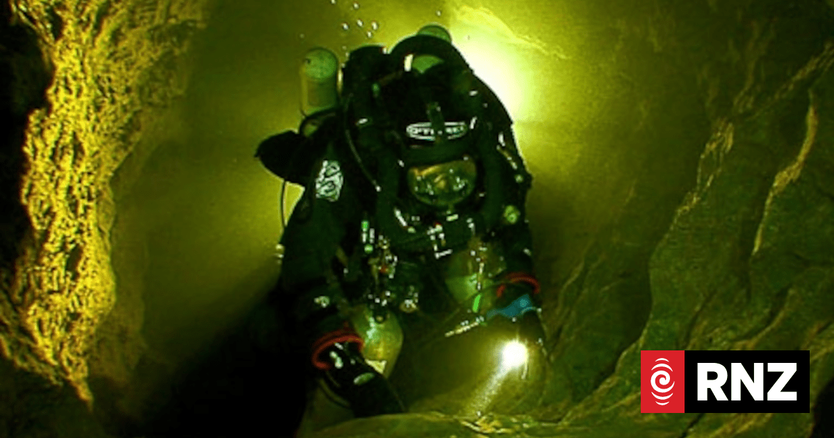 Take the plunge with an award-winning dive researcher | RNZ