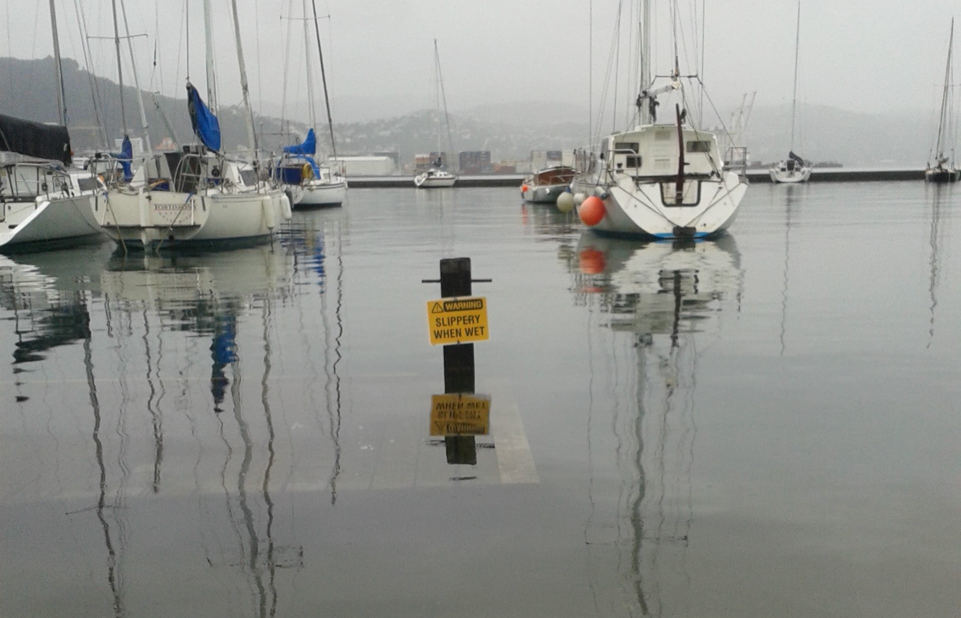 A king tide floods boardwalk in Wellington's Clyde Quay marina.