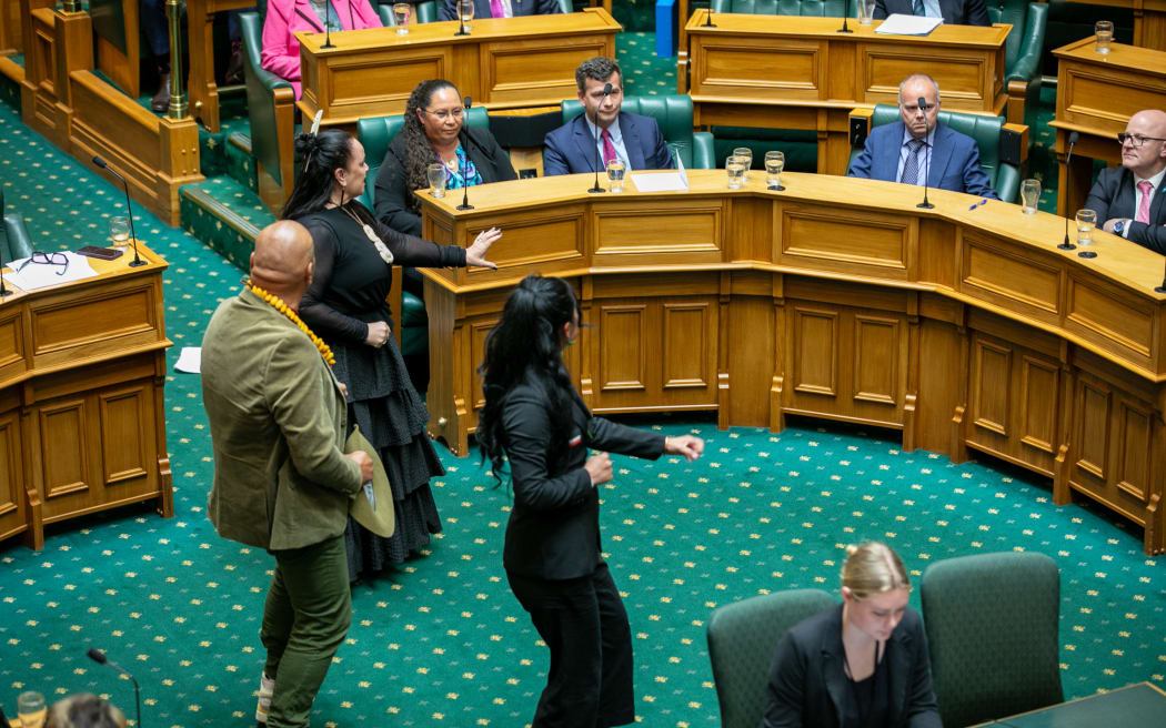 Members of Te Pati Maori do a haka in front of Act Party members in Parliament during the first reading of the Treaty Principles Bill on 14 November.