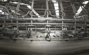 Dairy farmer Simon Mackle says life is getting back to normal since the Fonterra trucks are able to pick up milk.
