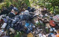 Rubbish dumped near a Westcoast beach