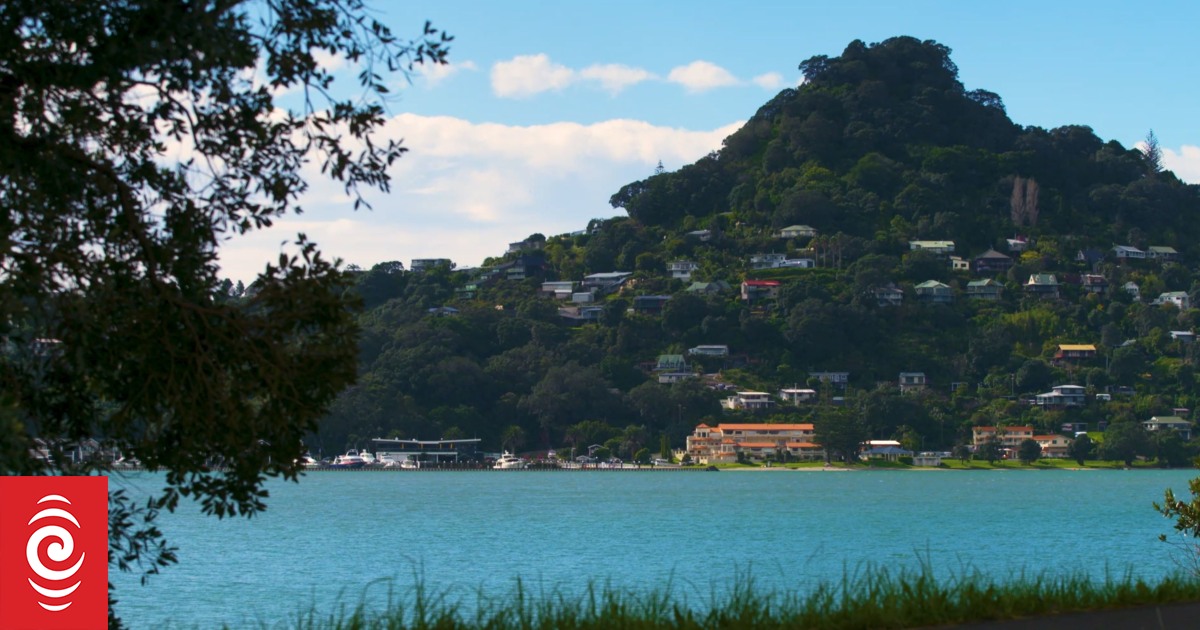 Coromandel businesses say summer has been 'best in a decade' - Vimarsana News